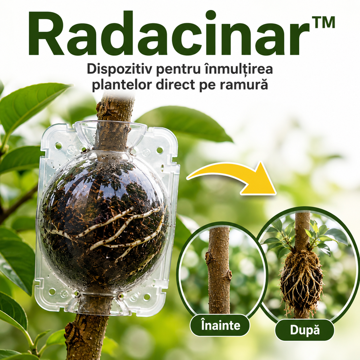 Rădăcinar™ - Înmulțește plantele preferate direct pe ramură, fără efort