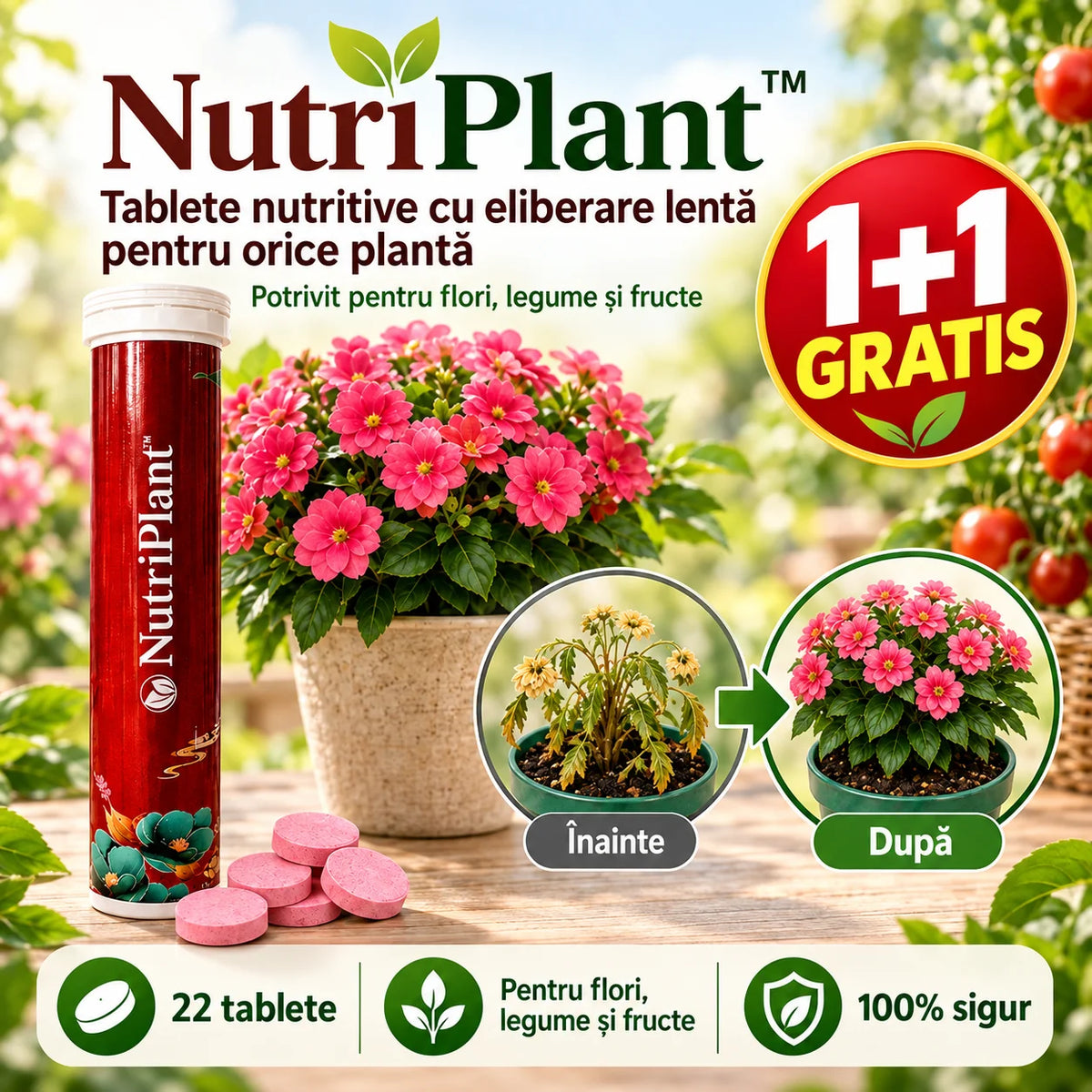 (1+1 GRATIS) Tablete Nutritive cu Eliberare Lenta pentru Orice Planta - NutriPlant™