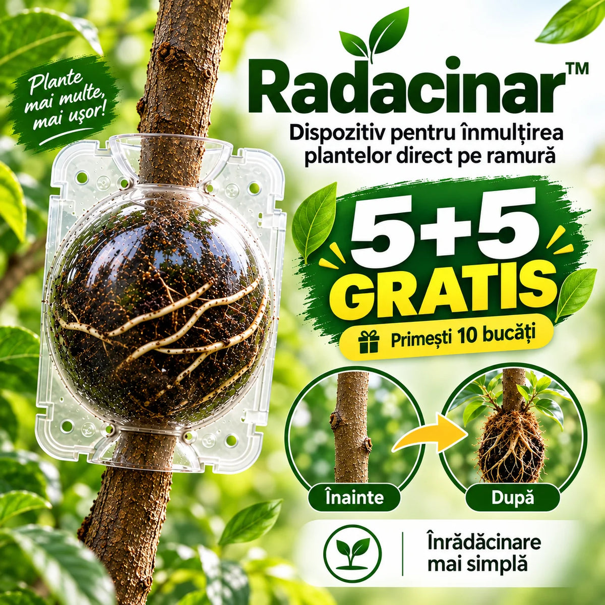 (1+1 GRATIS) Radacinar™ - Înmulțește plantele preferate direct pe ramură, fără efort