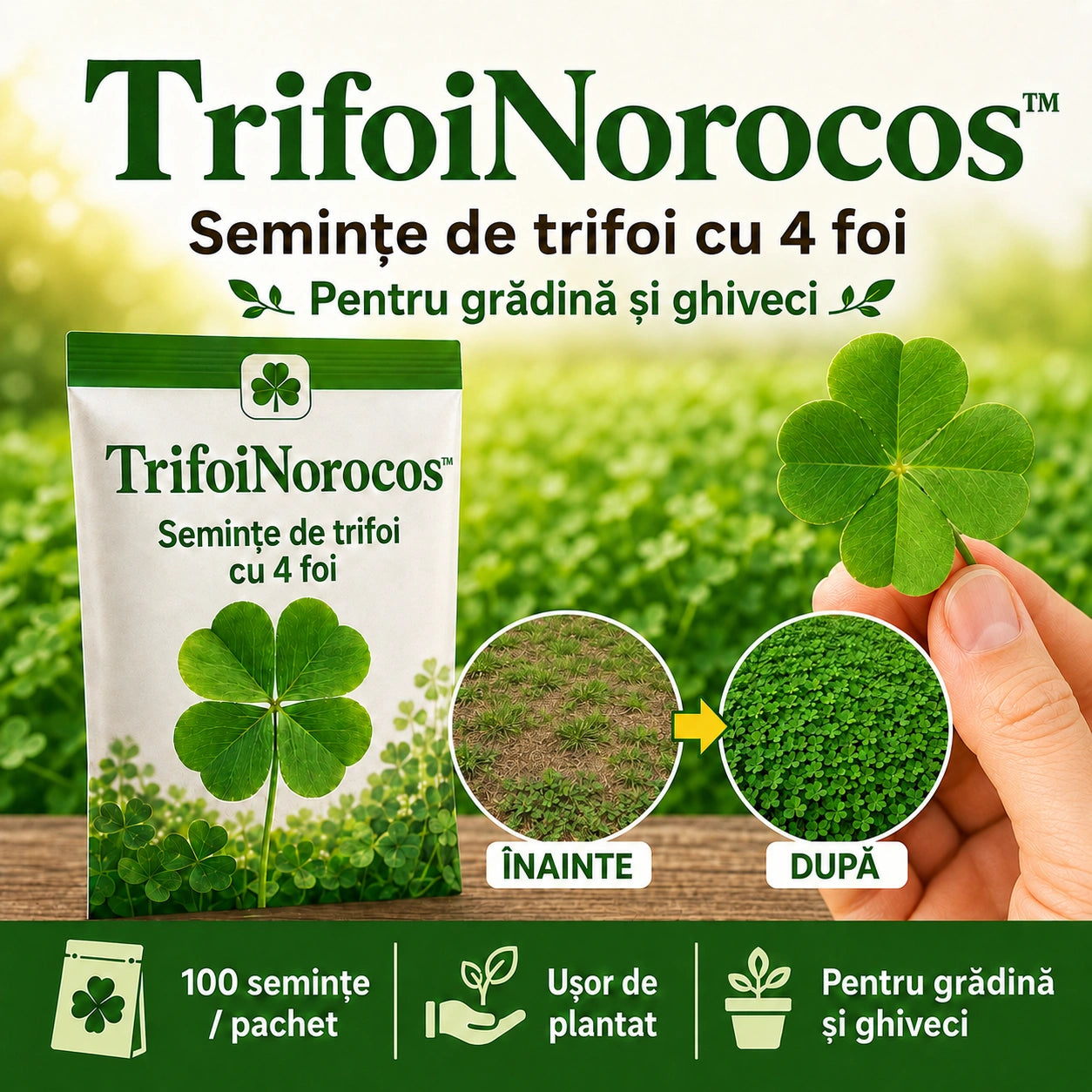 Semințe de trifoi cu 4 foi pentru grădină și ghiveci - TrifoiNorocos™